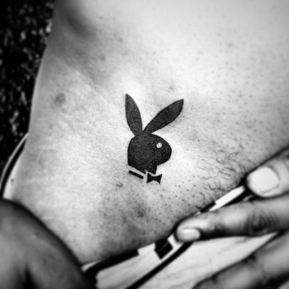 Cottontail